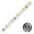 EVN - Niedervolt LED-Strip, IP20, kürzbar