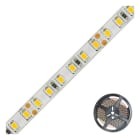 EVN - Niedervolt LED-Strip, IP54, kürzbar