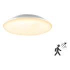 EVN - LED Anbauleuchte mit Bewegungsmelder