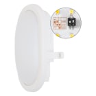 EVN - Ovale LED-Anbauleuchte, IP54