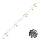 EVN - Niedervolt COB LED-Strip, IP20, kürzbar