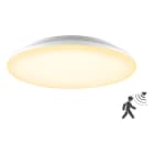 EVN - LED Anbauleuchte mit Bewegungsmelder