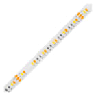 EVN - Niedervolt LED-Strip, IP20, konfektionierbar