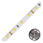 EVN - Niedervolt LED-Strip, IP20, kürzbar