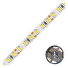 EVN - Niedervolt LED-Strip, IP20, kürzbar