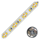 EVN - Niedervolt LED-Strip, IP67, kürzbar