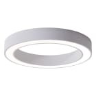 EVN - LED Deckenanbauleuchte mit CCT Switch