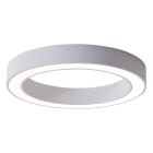 EVN - LED Deckenanbauleuchte mit CCT Switch