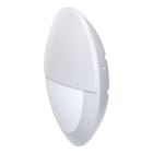 EVN - LED-Wandanbau, IP66