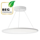 EVN - LED Pendelleuchte mit CCT Switch