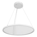 EVN - LED Pendelleuchte mit CCT Switch