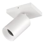 EVN - LED-Deckenanbauleuchte, IP20