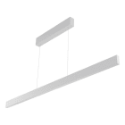 EVN - LED Pendelleuchte mit CCT Switch
