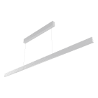 EVN - LED Pendelleuchte mit CCT Switch