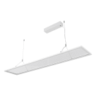EVN - LED Pendelleuchte mit CCT Switch