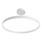 EVN - LED Pendelleuchte mit CCT Switch