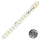 EVN - LED-Strip-IP20-48V/DC-19W/m-1593lm/m-160LED/m