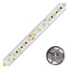 EVN - LED-Strip-IP68-24V/DC-16W/m-1949lm/m-126LED/m