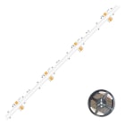 EVN - Niedervolt COB LED-Strip, IP20, kürzbar