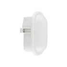 EVN - Ovale LED-Anbauleuchte, IP54