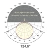 Miniaturansicht Lichtverteilungskurve 5