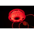 MK ILLUMINATION - DualRopeLicht 30/36V QF+,20mD 13mm,10ww/red LED/Schn. 0,33m