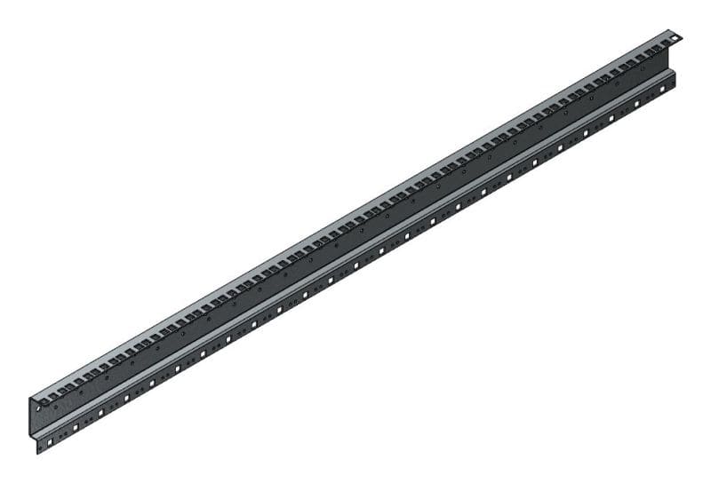 MEHLER - 19'' Profilschiene, 25HE