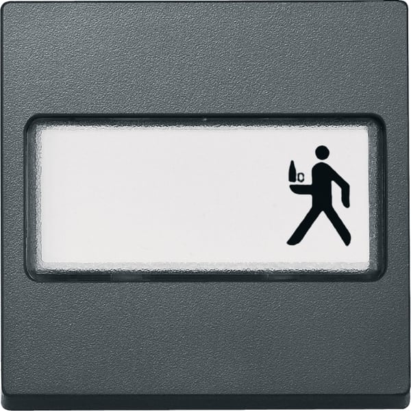 MERTEN - Wippe mit Schriftfeld, anthrazit, System M
