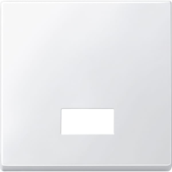 MERTEN - Wippe mit rechteckigem Symbolfenster, polarweiß, System M