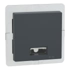 MERTEN - Wippe mit rechteckigem Symbolfenster IP44, anthrazit, System M