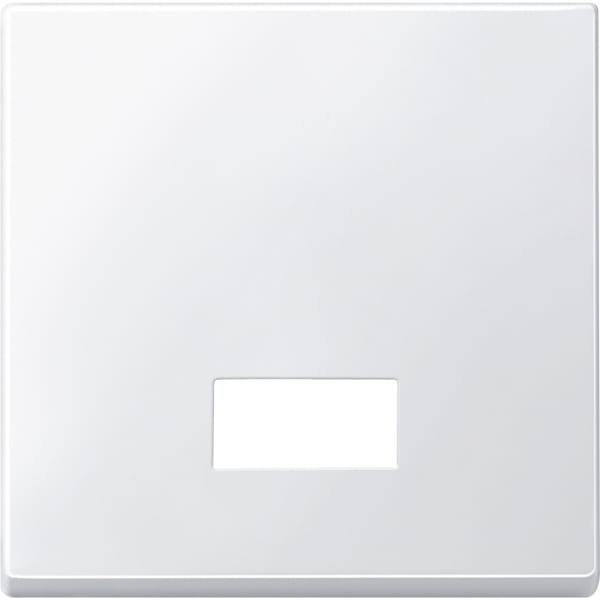 MERTEN - Wippe mit rechteckigem Symbolfenster, polarweiß, System M