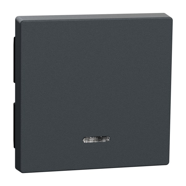 MERTEN - Wippe mit Kontrollfenster, anthrazit, System M