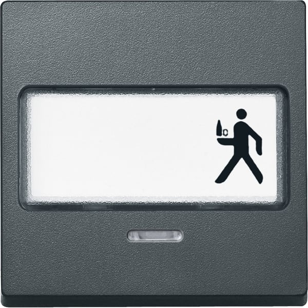 MERTEN - Wippe mit Schriftfeld und Kontrollfenster, anthrazit, System M
