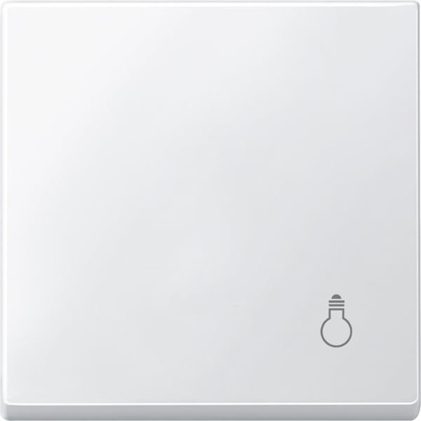 MERTEN - Wippe mit Kennzeichnung Licht, polarweiß, System M