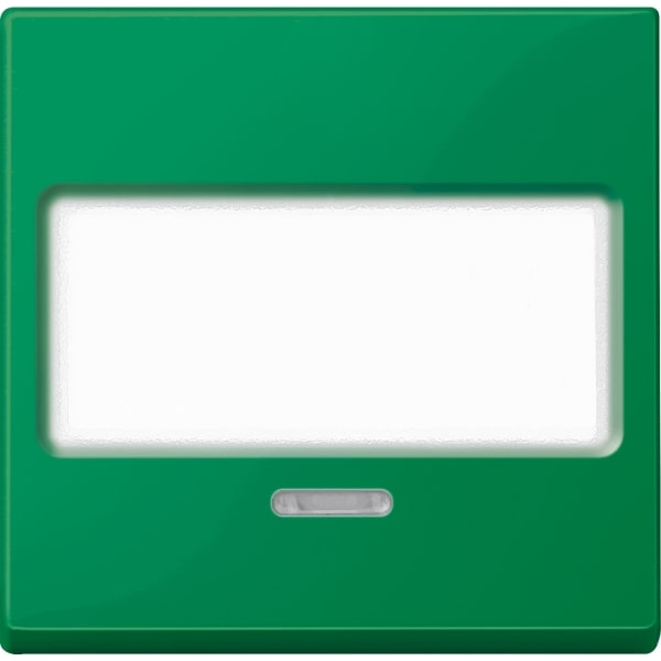 MERTEN - Wippe mit Schriftfeld und Kontrollfenster, grün, System M