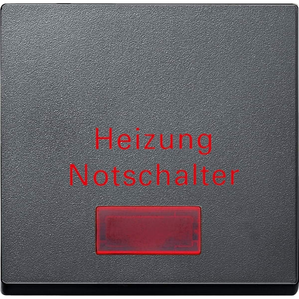 MERTEN - Wippe für Heizungs-Notschalter, anthrazit, System M
