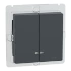 MERTEN - Doppelwippe mit Kontrollfenster IP44, anthrazit, System M