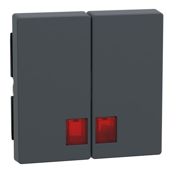 MERTEN - Doppelwippe mit rotem Symbolfenster, anthrazit, System M