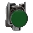 SCHNEIDER ELECTRIC - Leuchtmelder, XB4, Metall, 22mm, grün, LED, glatte Kalotte, SK, 24VACDC