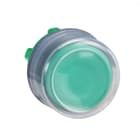 SCHNEIDER ELECTRIC - Drucktaster, Frontelement, Harmony XB5, Kunststoff, 22mm, grün, unbeschriftet, tastend, mit Schutzkappe