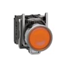 SCHNEIDER ELECTRIC - Leuchtdrucktaster, XB4, Metall, 22mm, orange, LED, glatte Kalotte, 1S+1Ö, 24VACDC