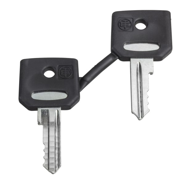 SCHNEIDER ELECTRIC - Ersatzschlüssel f. Schlüsselschalter, 3131A, Verpackungseinheit: 2 Stck.