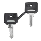 SCHNEIDER ELECTRIC - Ersatzschlüssel f. Schlüsselschalter, 3131A, Verpackungseinheit: 2 Stck.