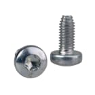 SAREL - Spacial SF/SM-Torxschrauben, selbstschneidend, M6, 12mm, VE: 100 Stück
