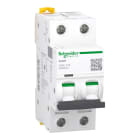 SCHNEIDER ELECTRIC - Leitungsschutzschalter iC60L, 2P, 16A, K-Charakteristik, 25kA