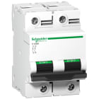 SCHNEIDER ELECTRIC - Leitungsschutzschalter C120H, 2P, 125A, B Charakteristik, 15kA