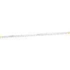 SCHNEIDER ELECTRIC - Phasenschiene Steg, ablängbar, 1P, 57 TE, 100A