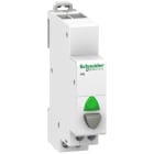 SCHNEIDER ELECTRIC - Drucktaster iPB, 1 Schließer, Taste grau, LED grün 110-230VAC