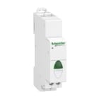 SCHNEIDER ELECTRIC - Leuchtmelder iIL, LED, grün, 110-230V AC