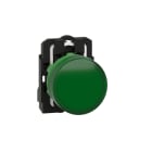 SCHNEIDER ELECTRIC - Leuchtmelder, XB5, Kunststoff, grün, 22mm, LED, glatte Kalotte, 24VACDC